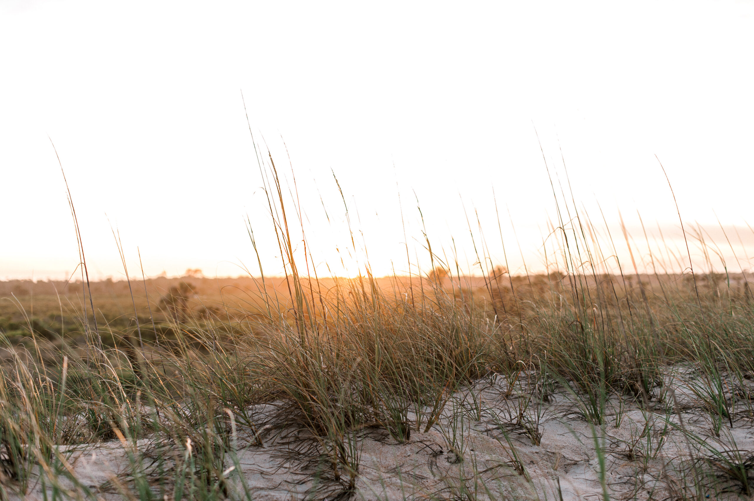 Stunning sunset photo of the beach dunes near Space Coast, Florida