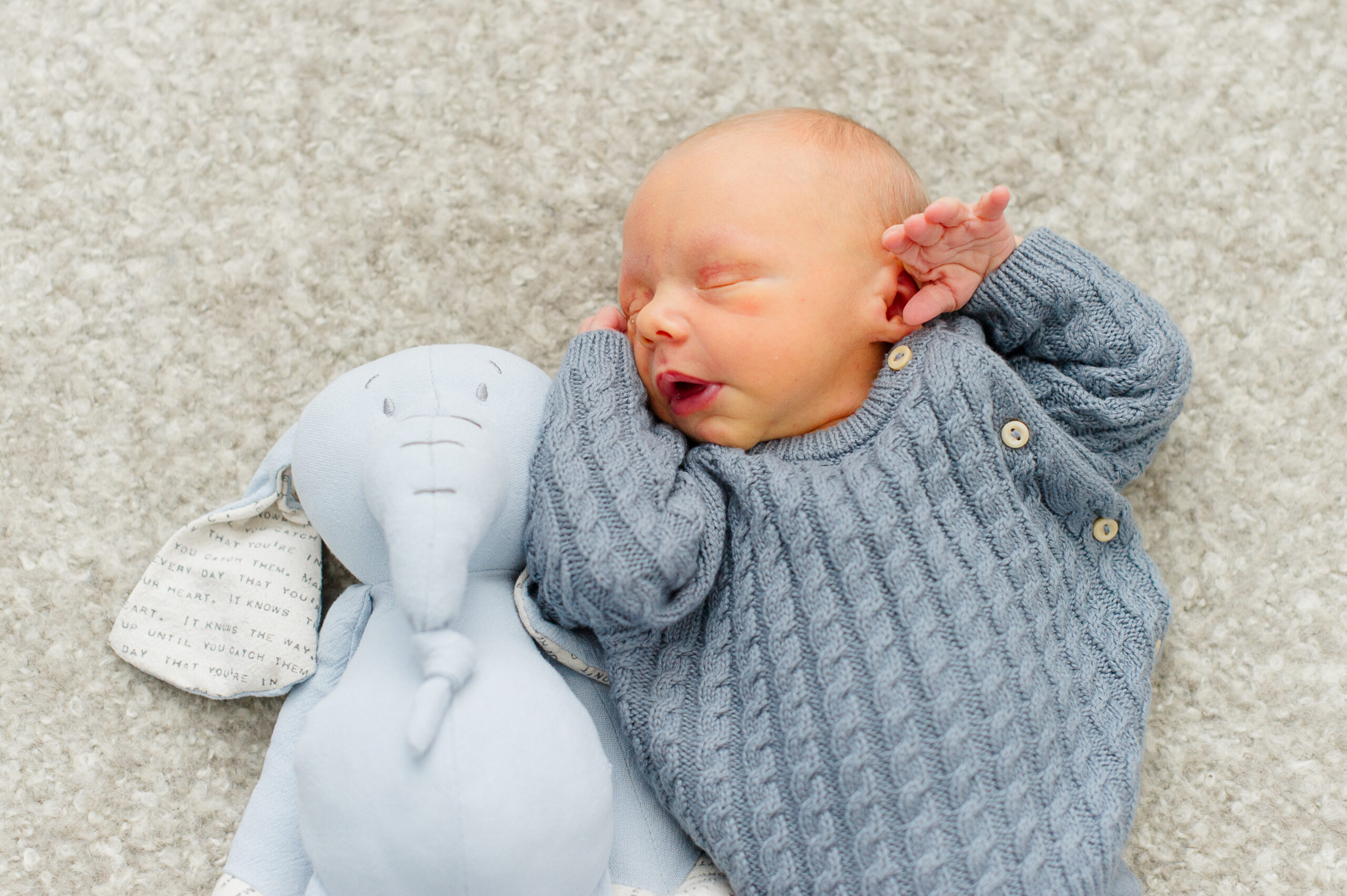 Newborn baby lays next to his blue stuffed elephant and sleeps with his hands beside his face in the cutest blue sweater Orlando midwives