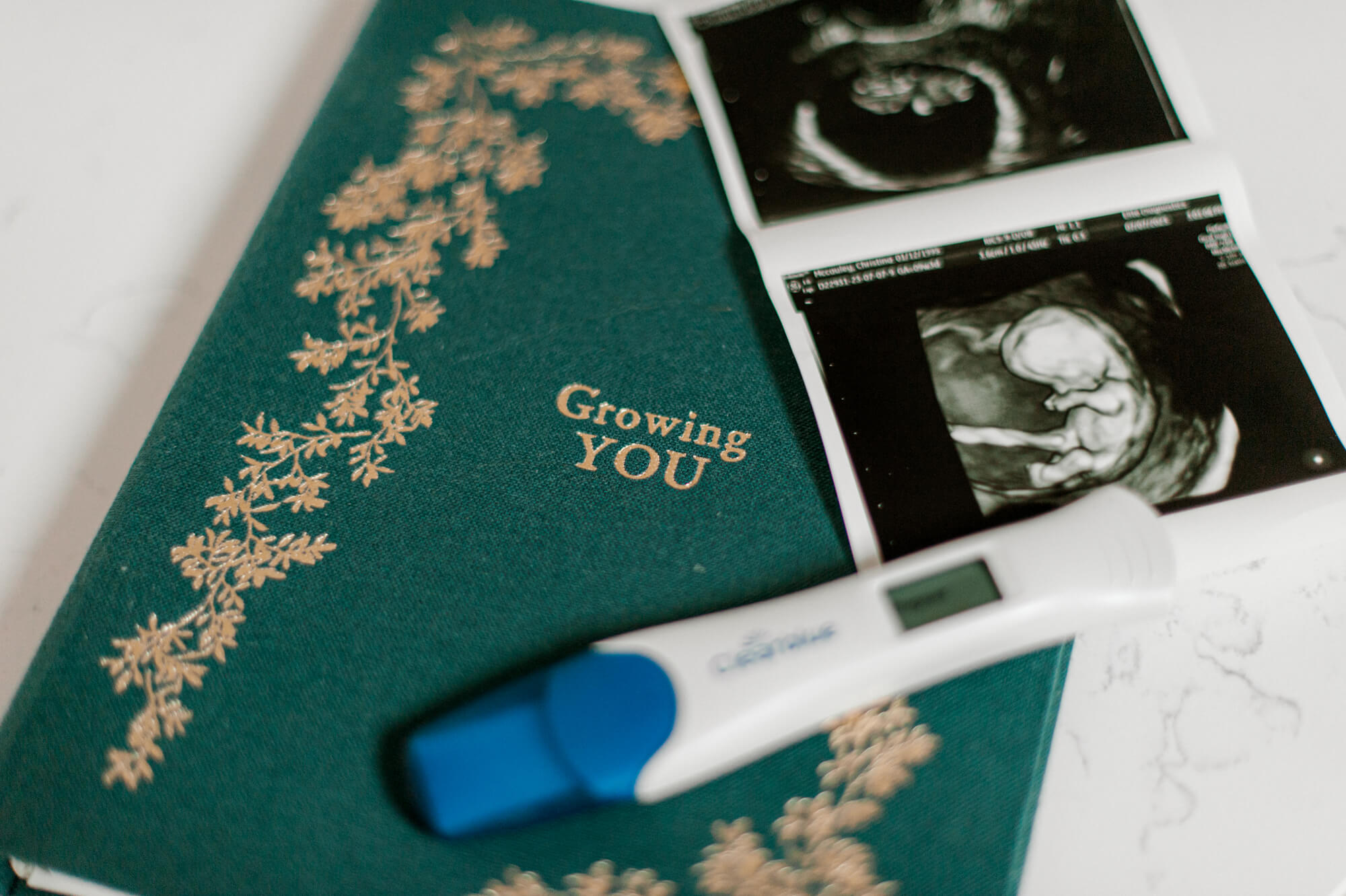 baby book to keep a log of all the growing memories of the baby with a pregnancy stick and ultrasound pictures Orlando baby shower venues